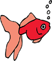 fish021